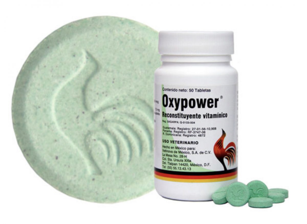 MSM + Vitamina D3 Con Glucosamina-cuidado De Las Articulaciones Soporte Para Cartilago Huesos Fuertes Salud Inmunologica 120 Capsulas