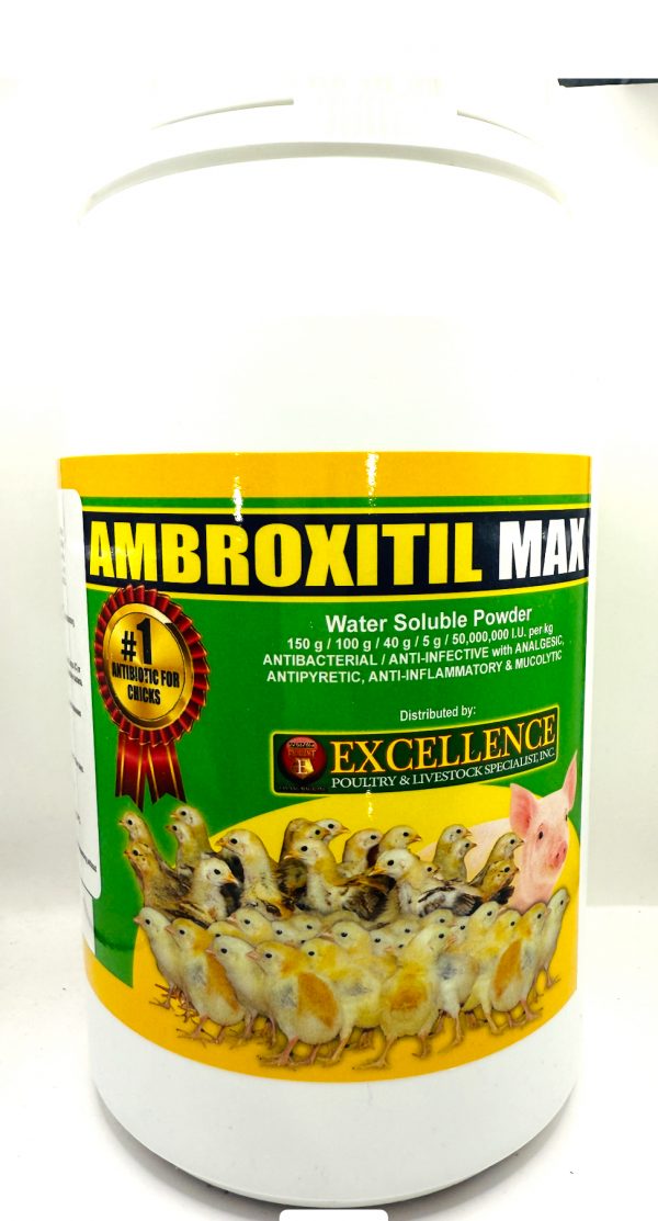 AMBROXITIL max 1KG