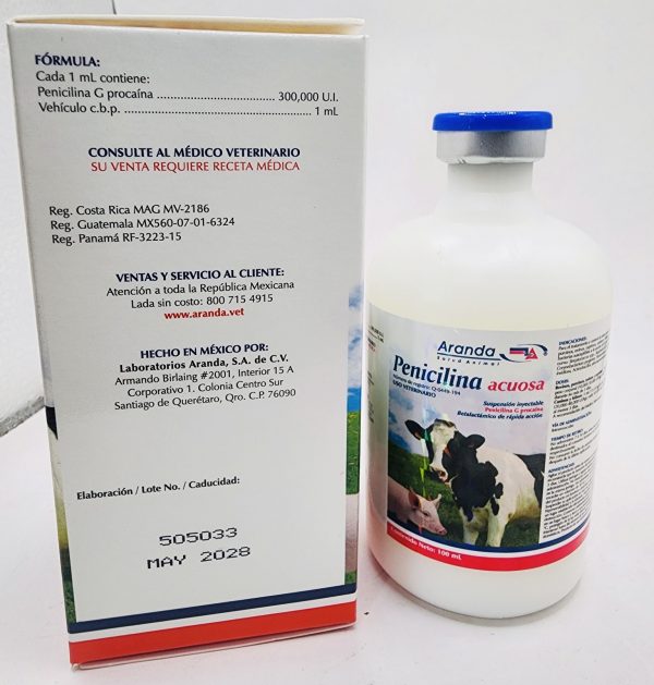 Penicilina 100ml - Imagen 2