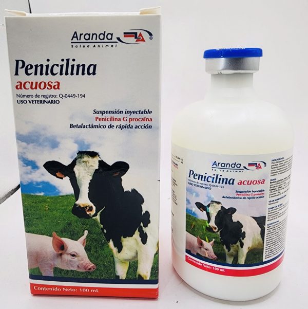 Penicilina 100ml